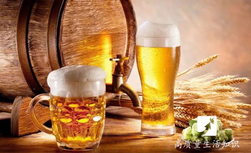 盤錦酒桌規矩解密 1杯白酒到底等于多少瓶啤酒？